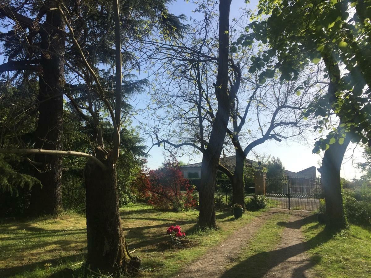 Villa Toulousaine Grisolles  Eksteriør billede