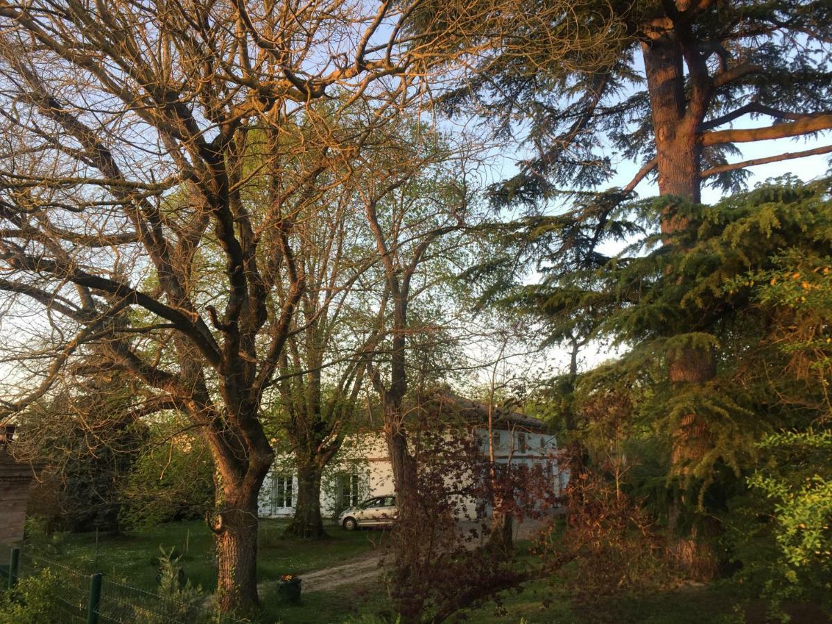 Villa Toulousaine Grisolles  Eksteriør billede