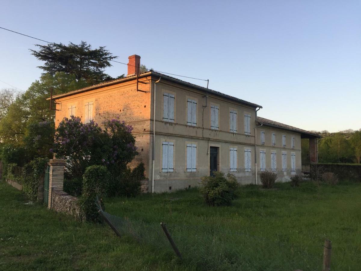 Villa Toulousaine Grisolles  Eksteriør billede